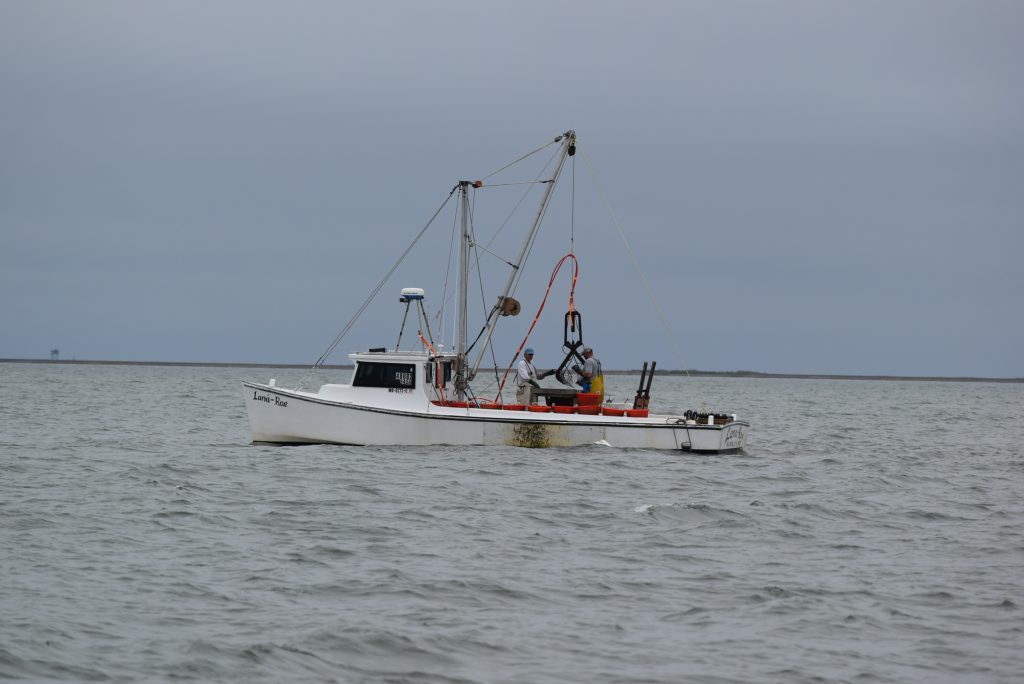 Working Oyster Boat