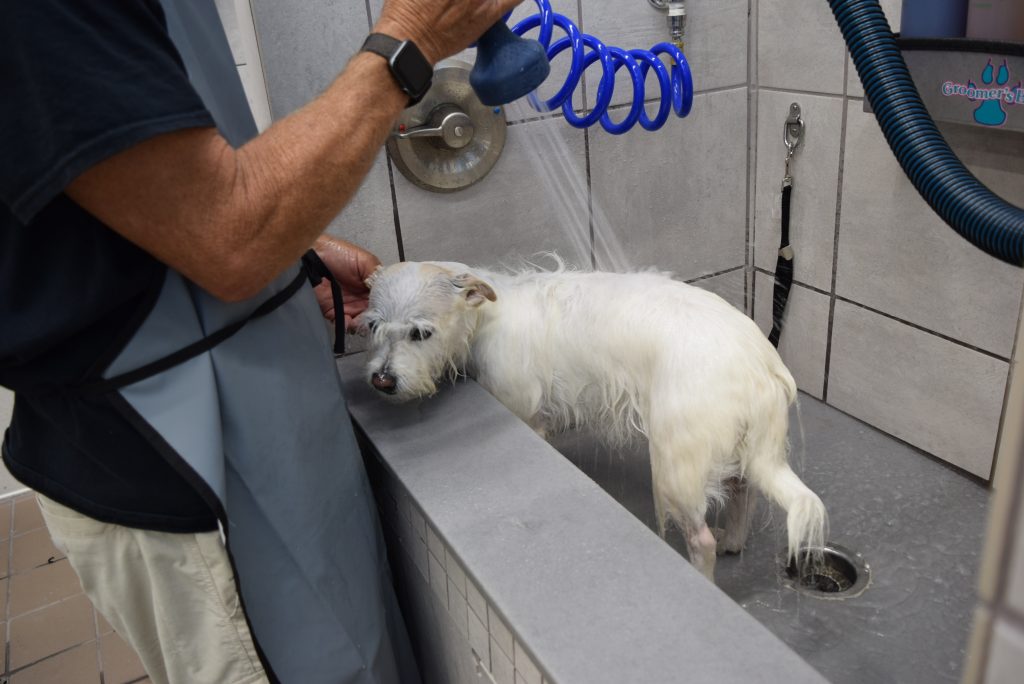 Getting a bath