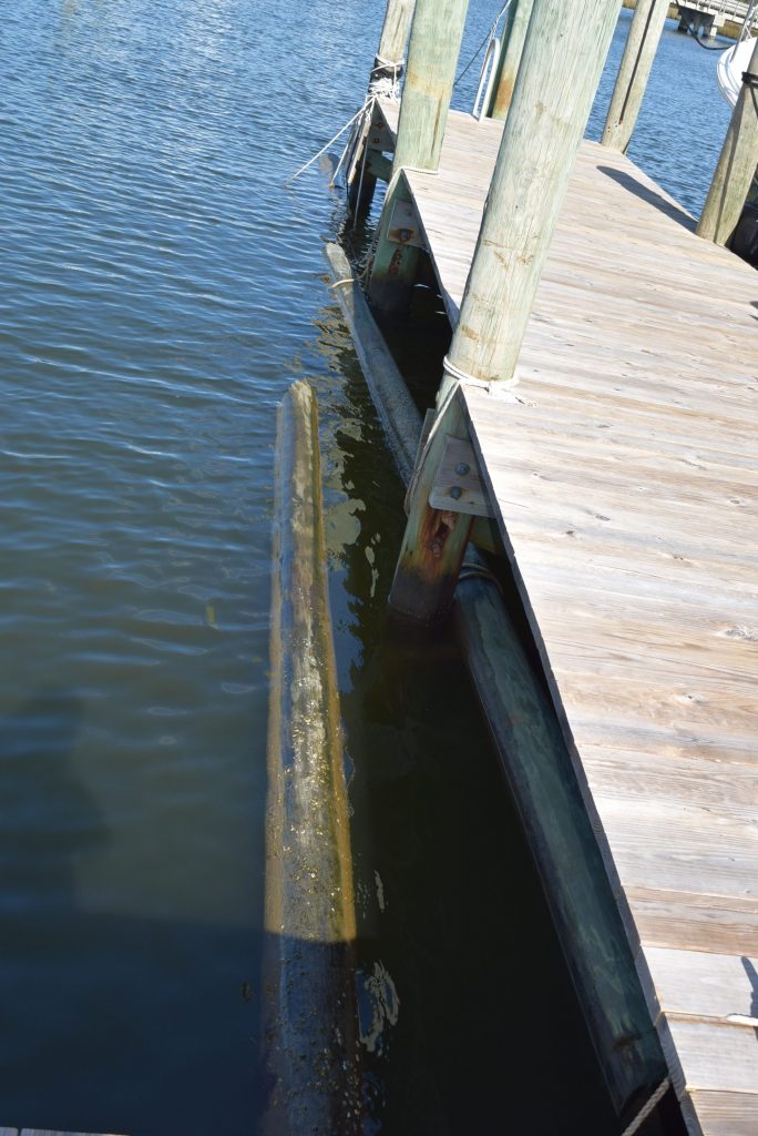 Damaged pilings in water