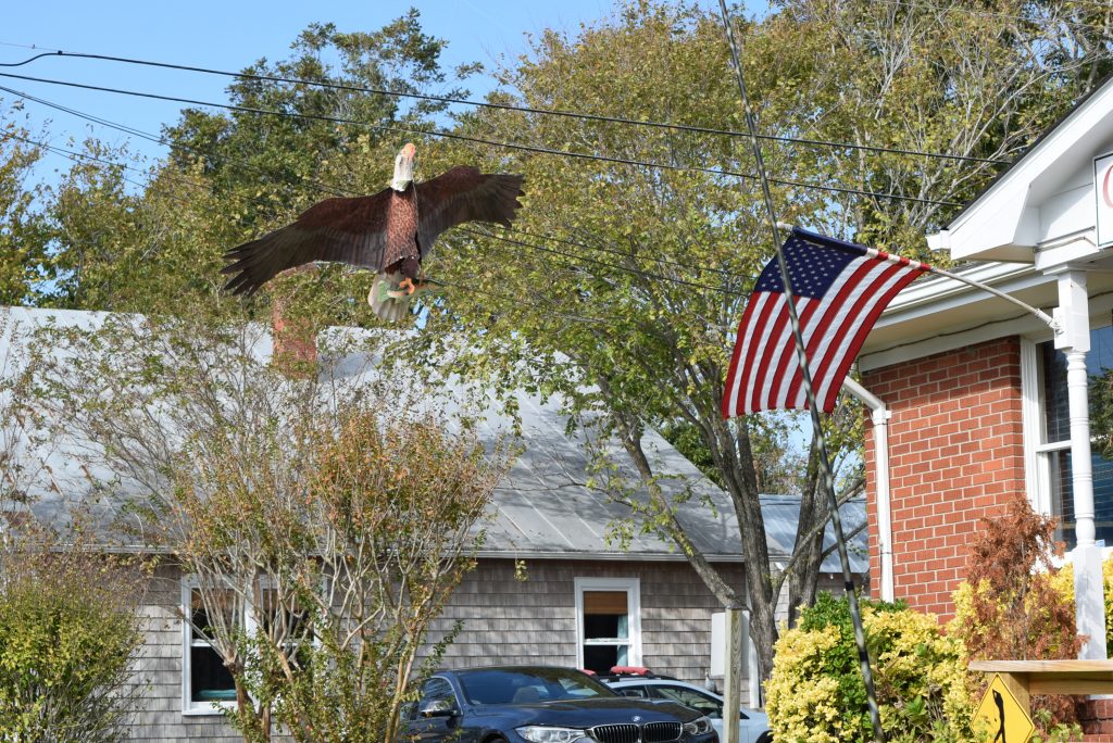 Finally, a photo of an Eagle