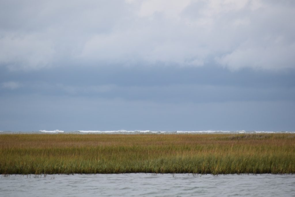 Ocean surf across from ICW