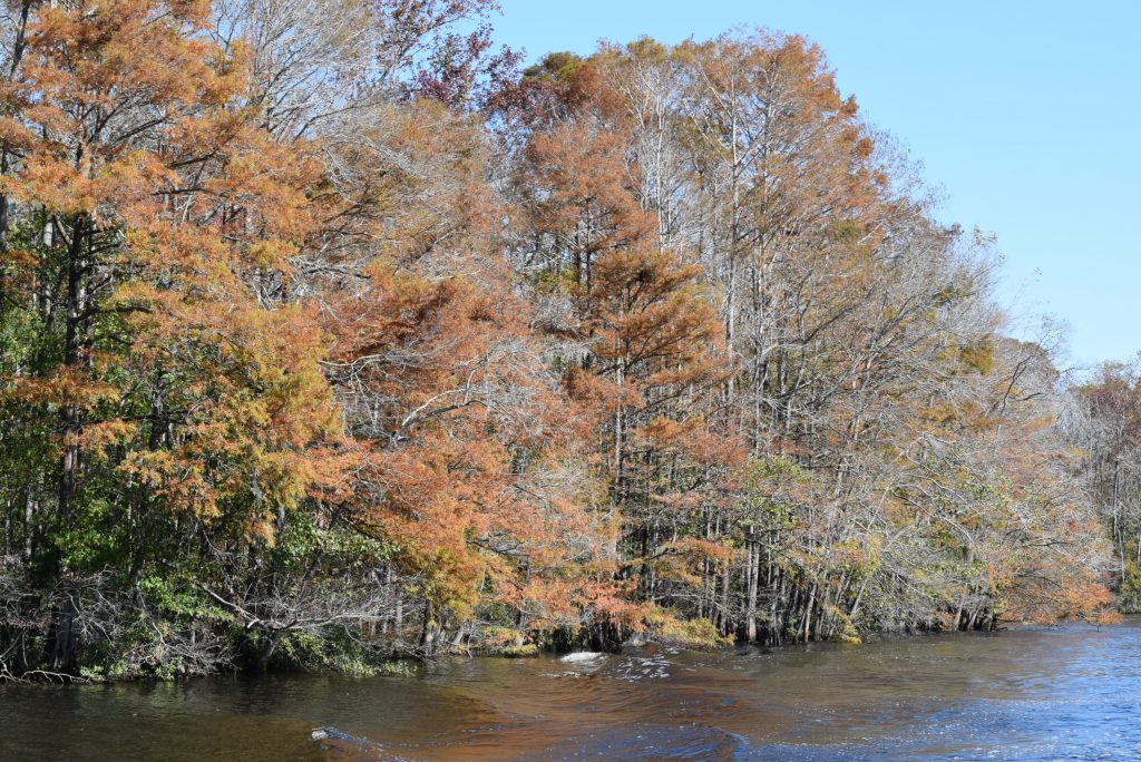 Beautiful fall colors