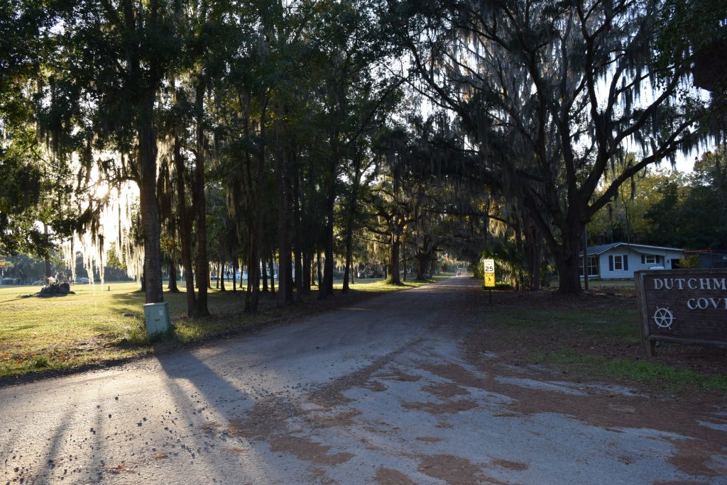 The neighborhood is mostly dirt lanes covered by big oak trees