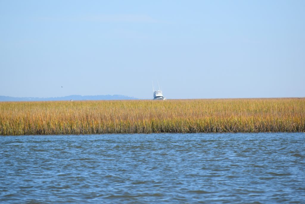 Low marsh land along the way