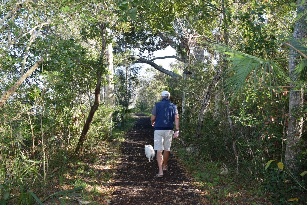 Path to Plantation