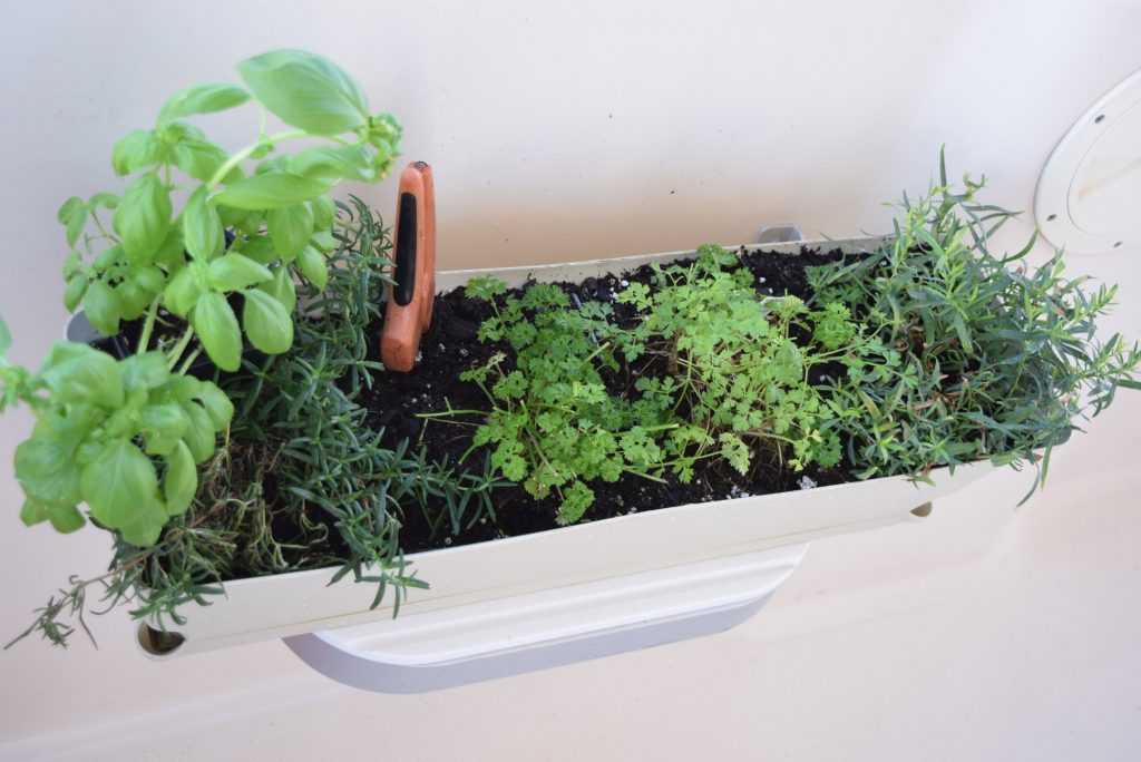 Our on=board herb garden