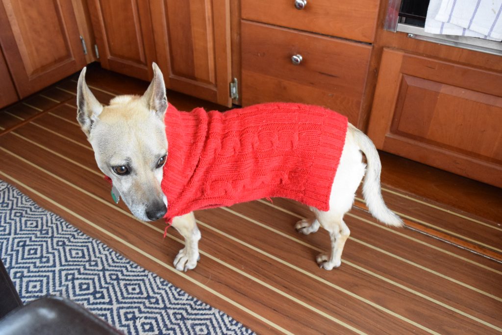 The Duke dressed for a cool crisp walk about