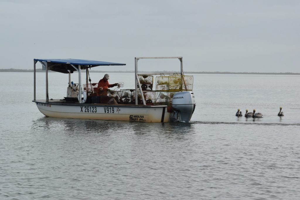 Crabbing