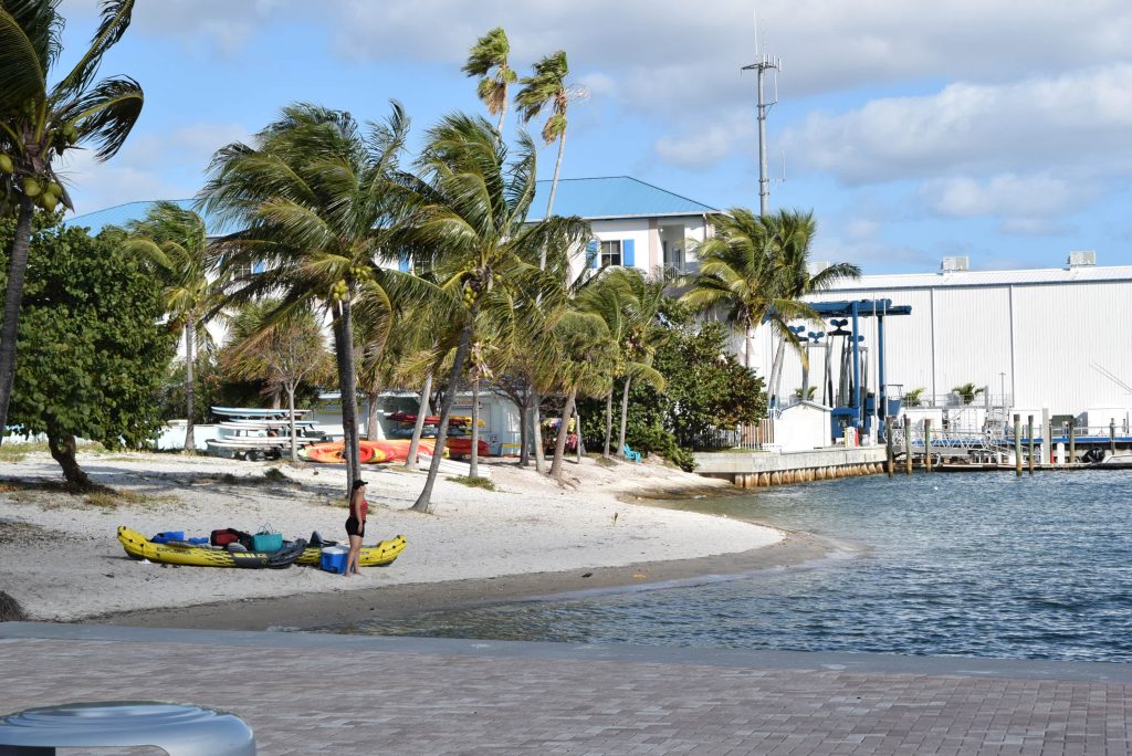 Beach with paddle boarding, etc.