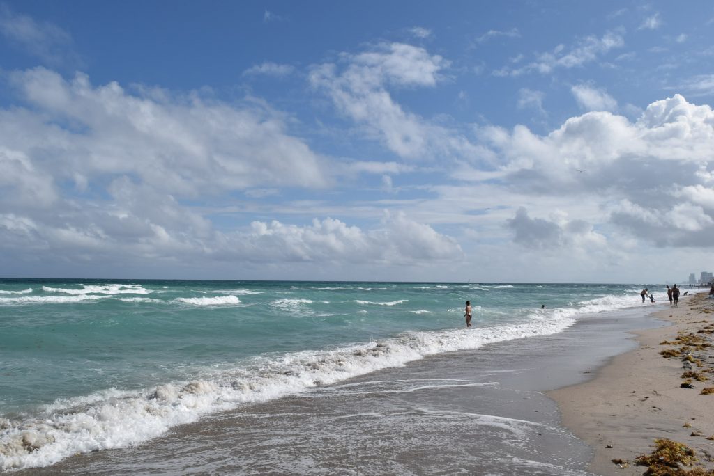 A gorgeous day at the beach