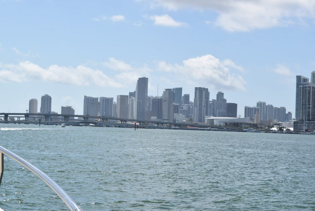 Miami skyline from Scout