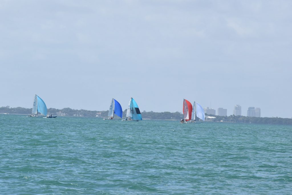 A sailing regatta