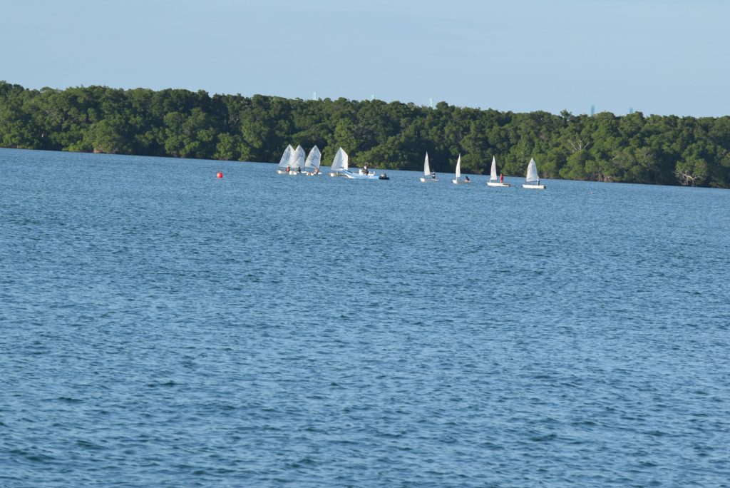 Optimists sailing practice