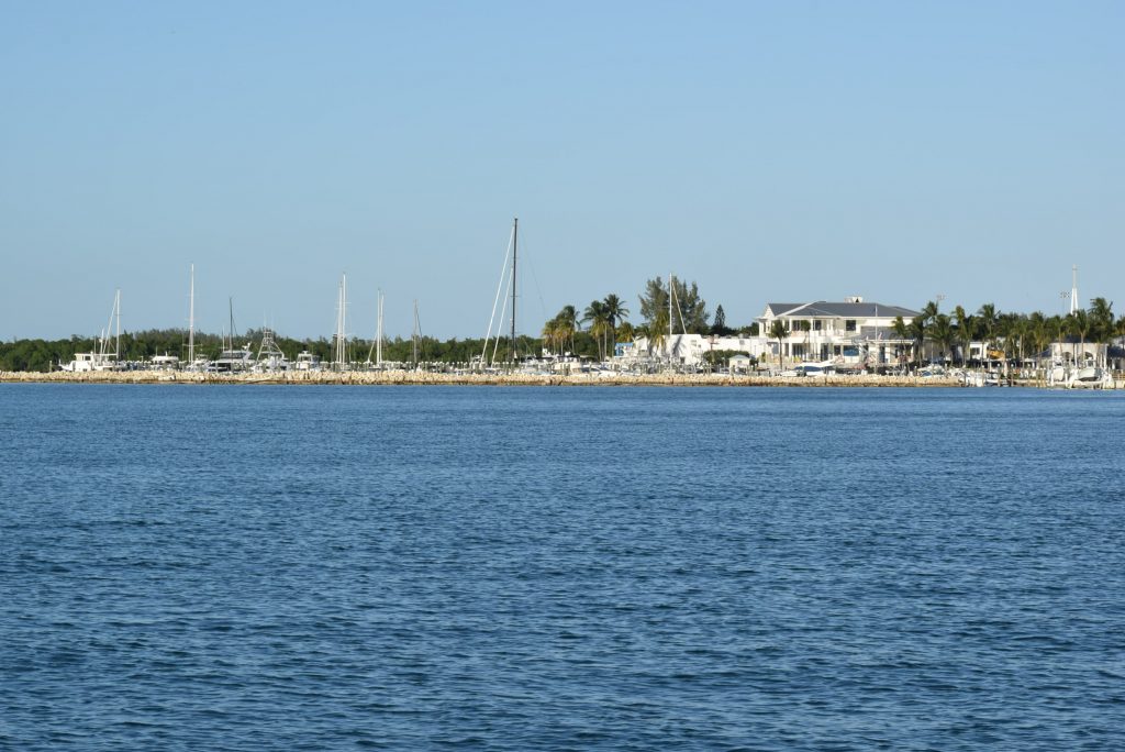 Key Biscayne Yacht Club viewed from Scout