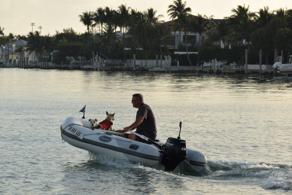 Michael and doggies headed to shore for doggie business