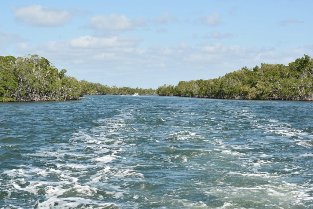 Everglades National Park