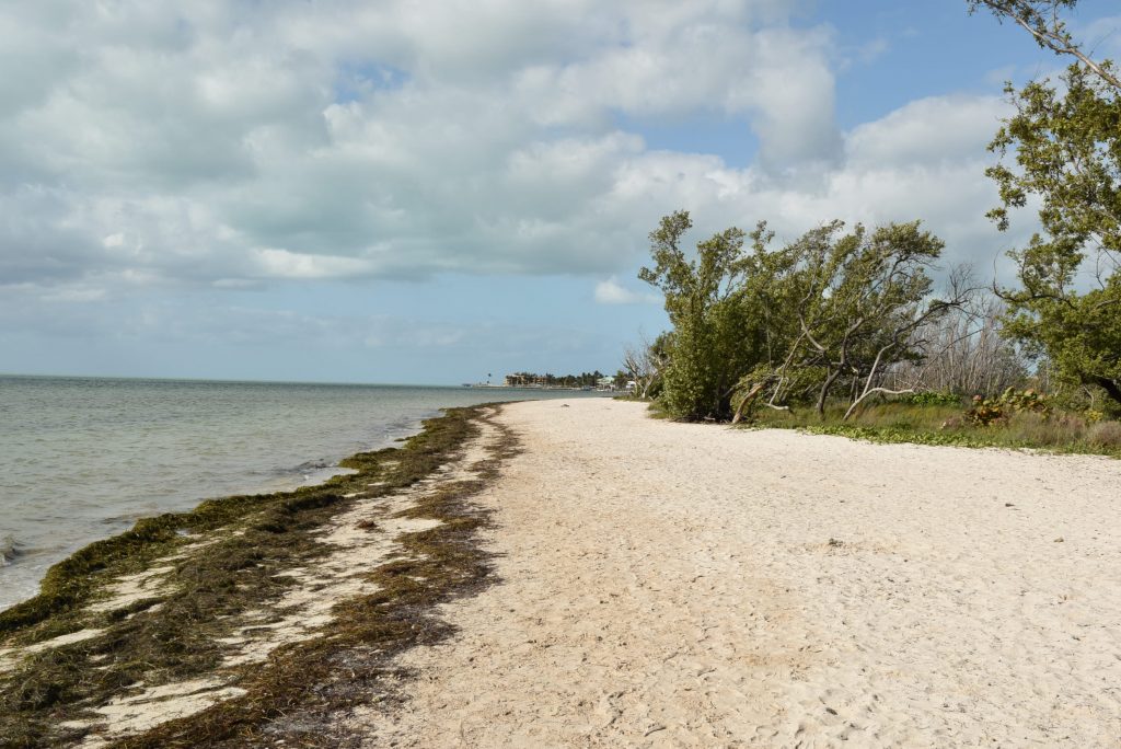 Beach we walked to from Marina