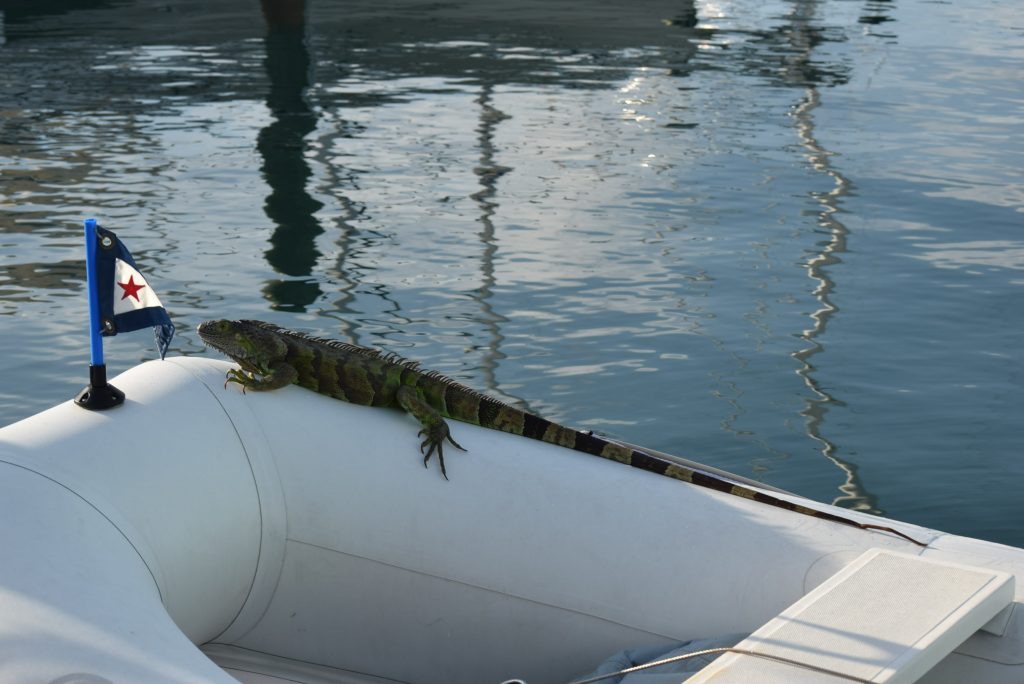 Stretched out aboard Scout-About