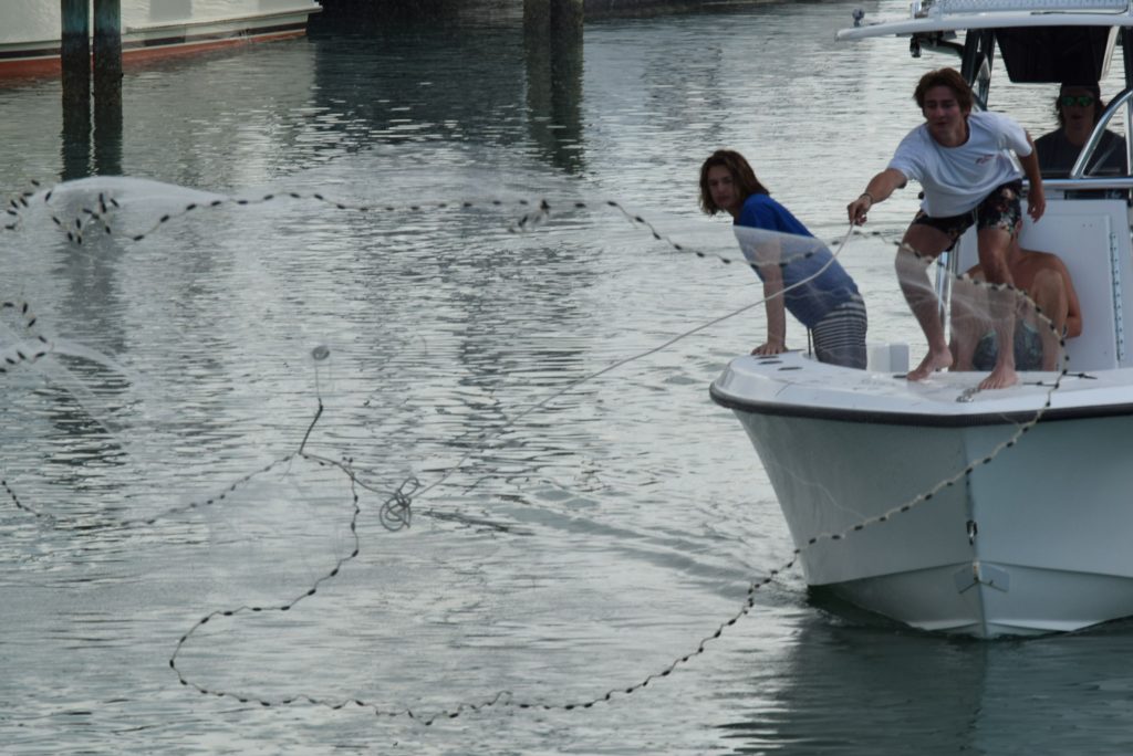 Casting their net