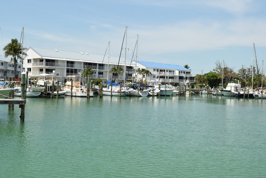 The condos at the marina occupied by "Cliff Dwellers"