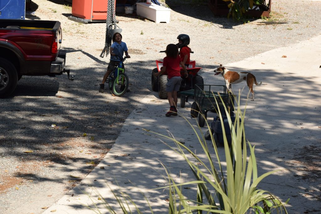 Kids and dog in boat yard