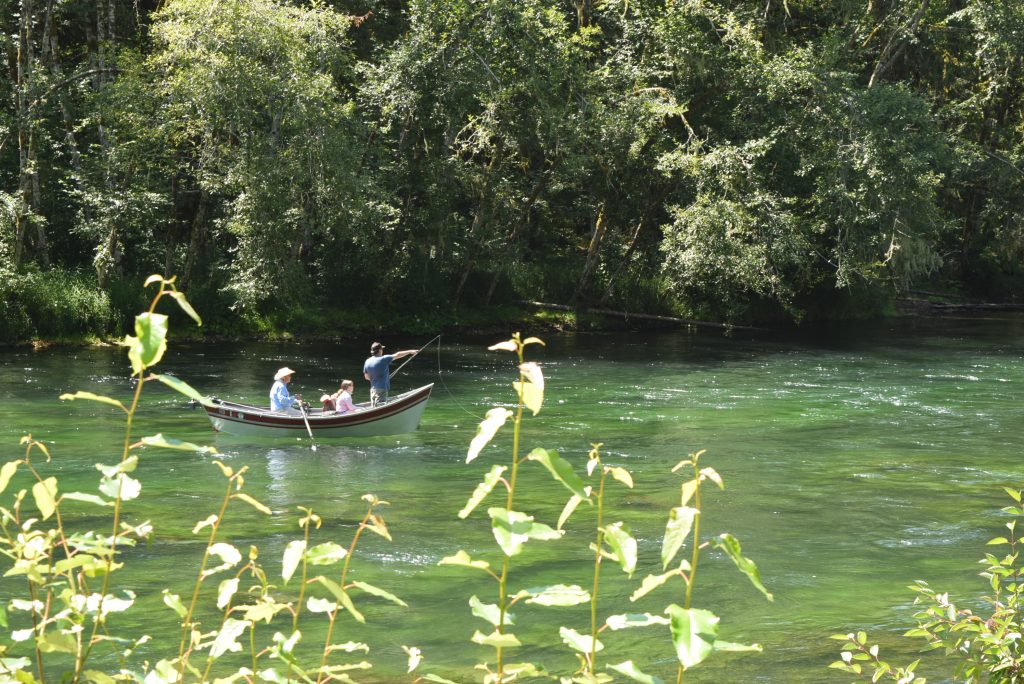 Fishing on the McKinzie River in Nimrod area