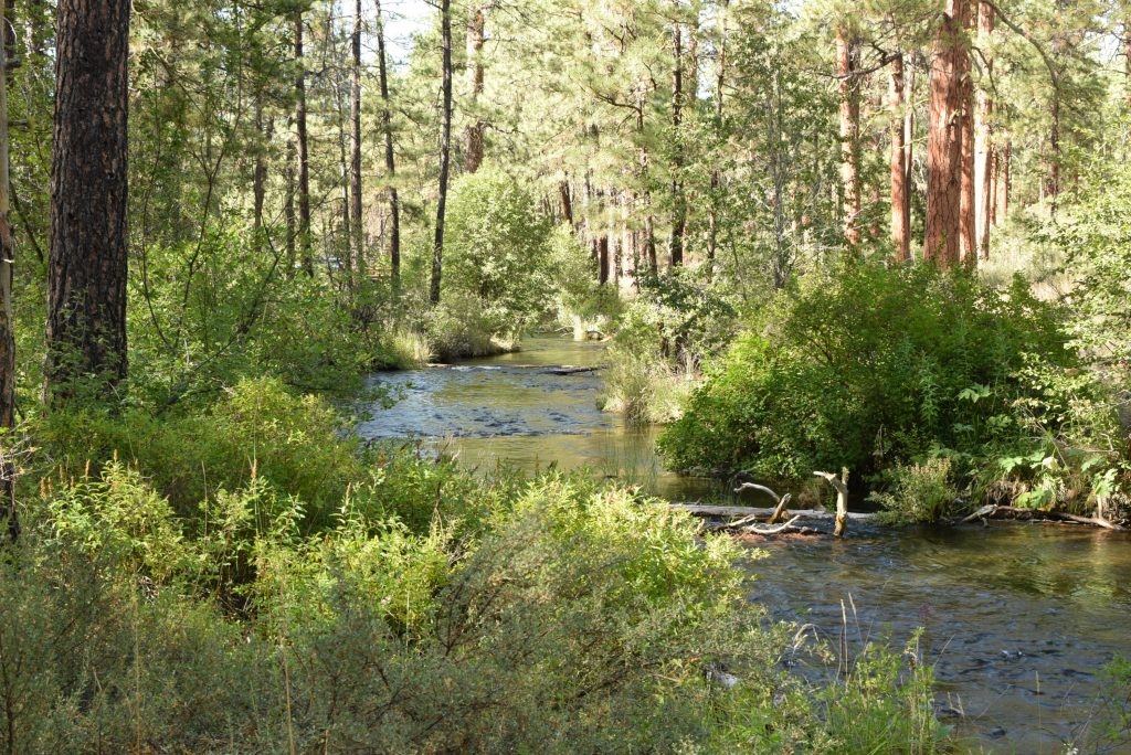 Another amazing view of the river