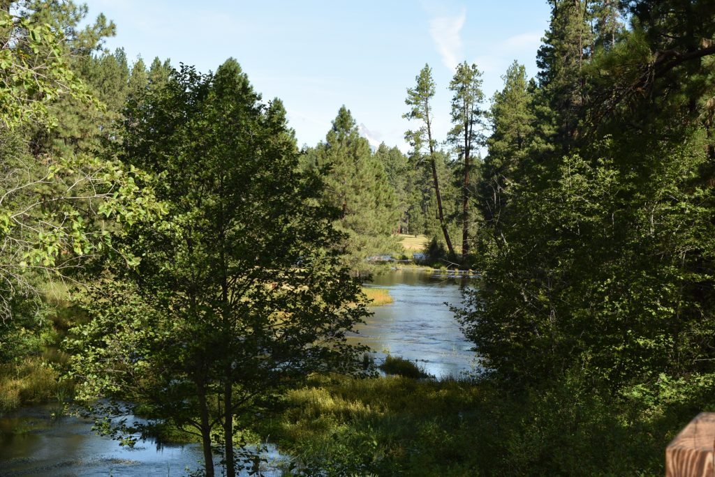 Head of Metolius view