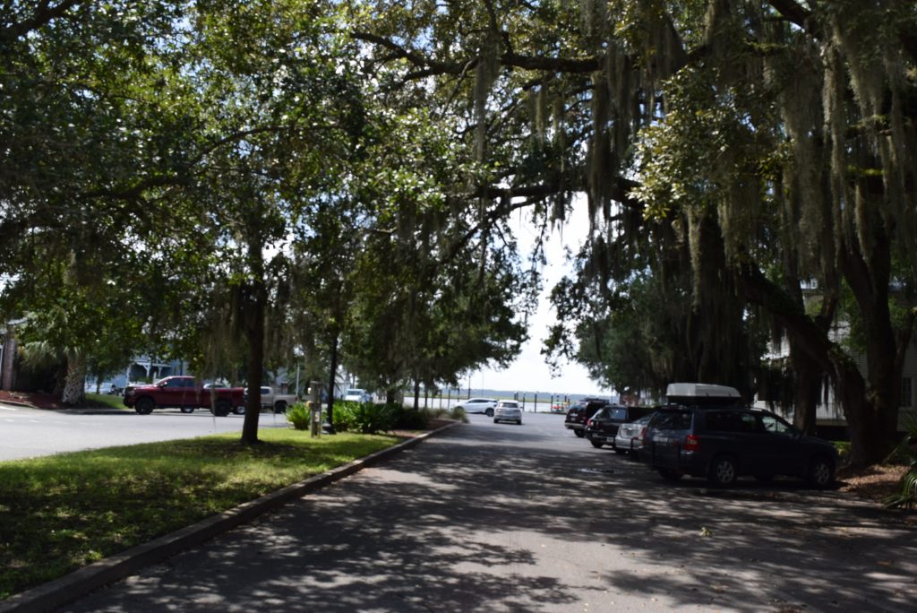 Beautiful oak-lined street looking to the water